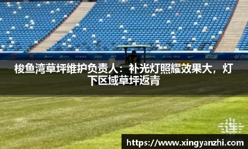bsports必一网页版